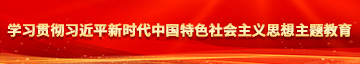 啊逼肏学习贯彻习近平新时代中国特色社会主义思想主题教育